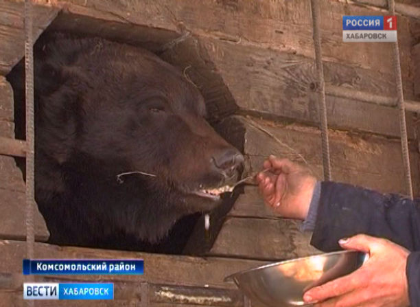 Медвежья берлога