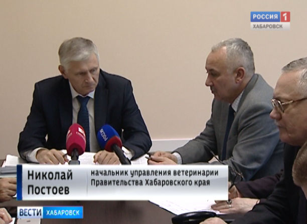 Напасти на свиней