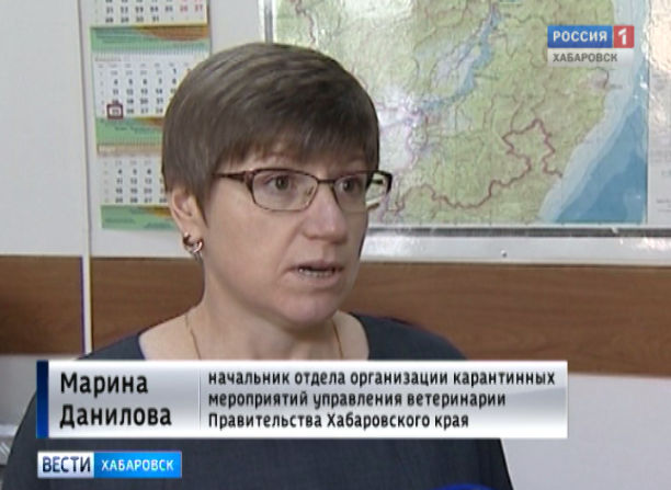 Бешенство в ЕАО