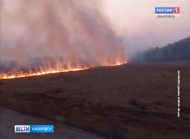 Палы на трассе «Уссури»