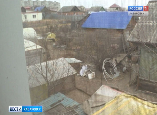 Курятник в городе