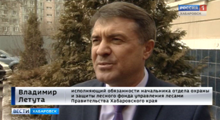 Пожары в крае