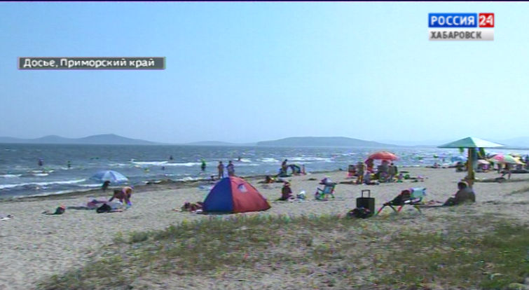 Проездной до моря