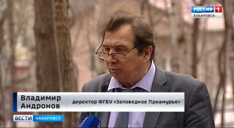 Угроза Анюйскому миновала