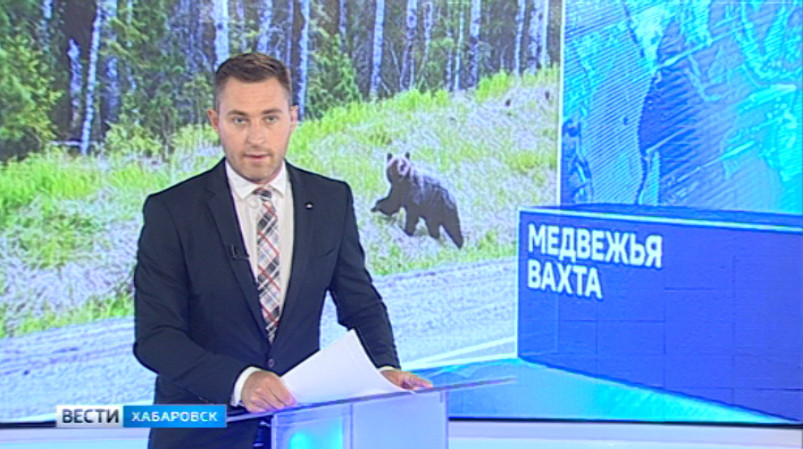 Медведи атакуют Ванинский район