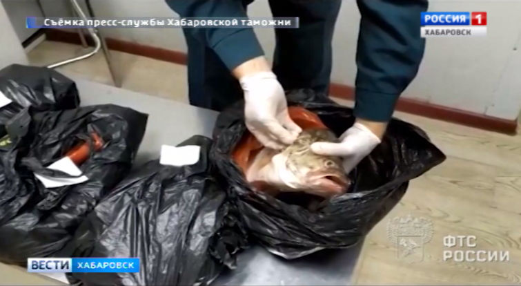 Контрабанда аухи