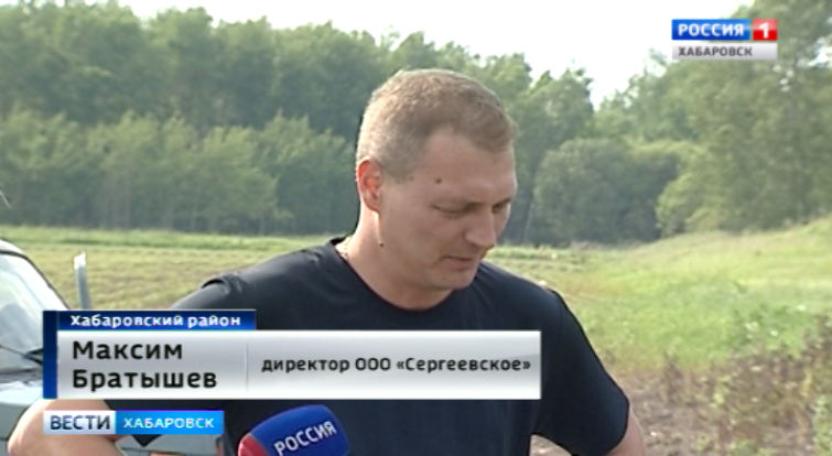Проверка по пестицидам