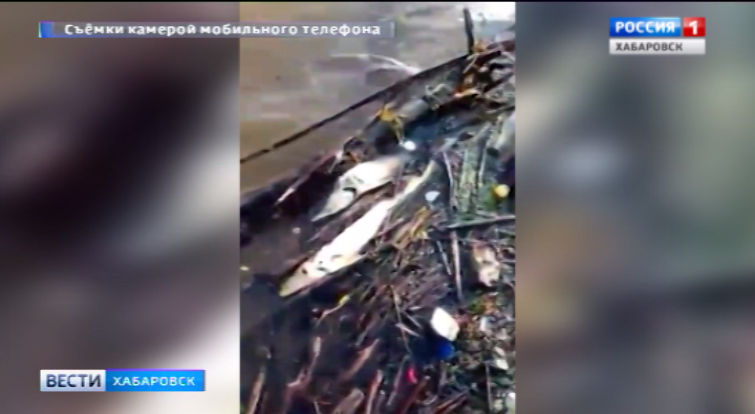 Чьи осетры погибли