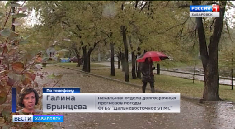 Прогноз погоды