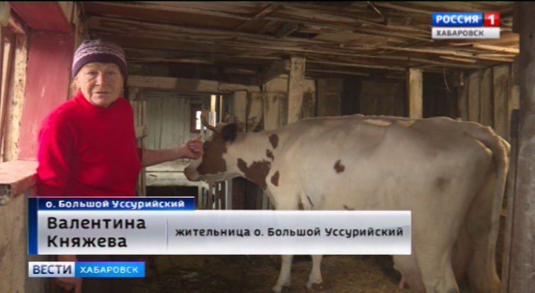 Проблемы Большого Уссурийского