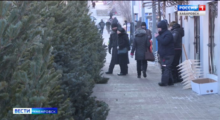 Ёлочные базары открылись
