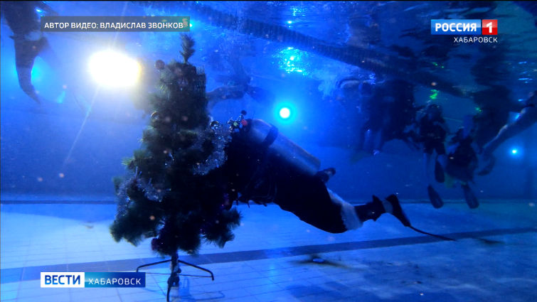 Новый год дайверов и «моржей»