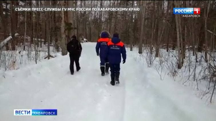 Поиски сторожа