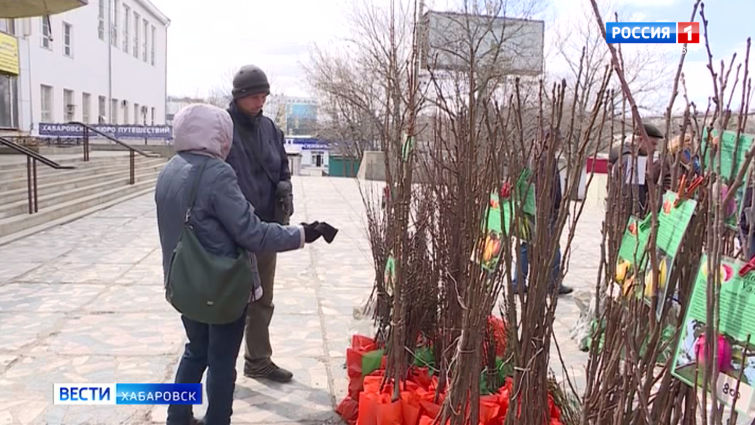 Садовые новинки