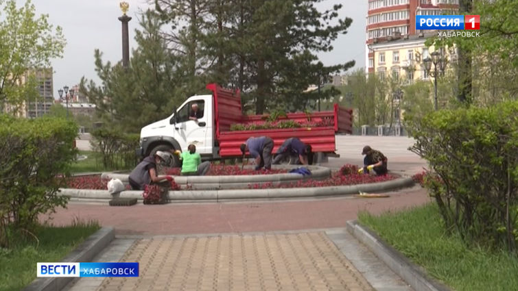 Высадка цветов в Хабаровске