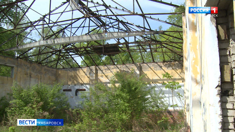 Реконструкция парка ДОФ