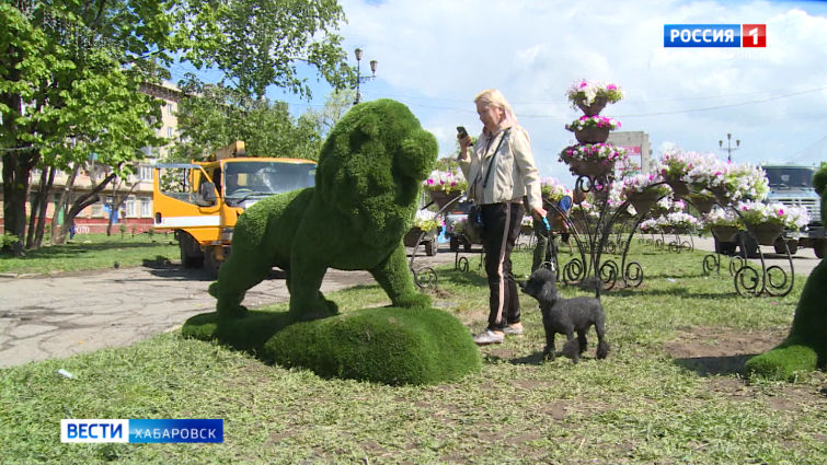 Фигуры и цветы ко Дню города
