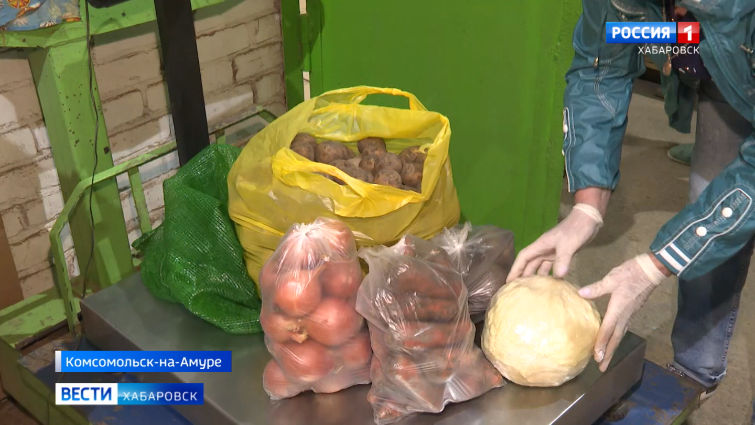 Помощь дачникам
