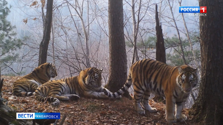 Геологоразведка в пос. Дурмин