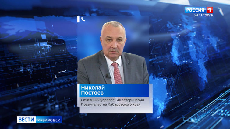 Бруцеллез в поселке Эльбан
