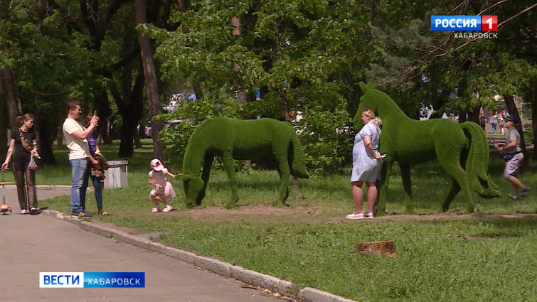 Озеленение и вандалы