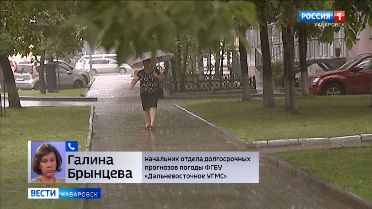 Дождливая погода в Хабаровском крае