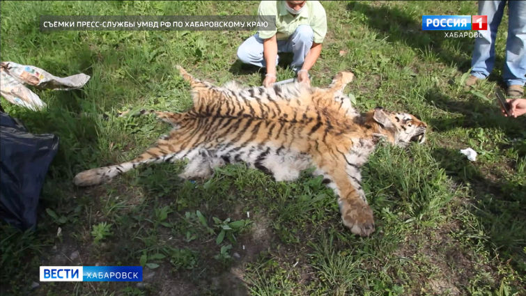 Задержание браконьера