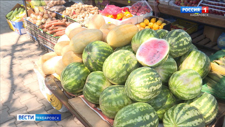 Старт сезона продажи арбузов