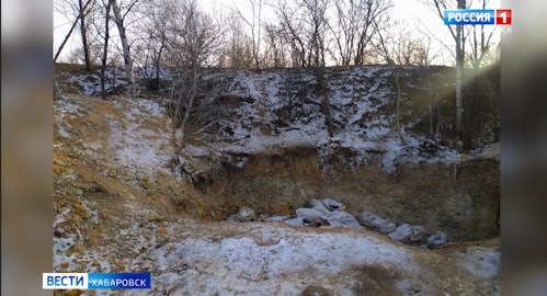 Прокуратура проводит проверку по факту обнаружения скотомогильника в пригороде Хабаровска