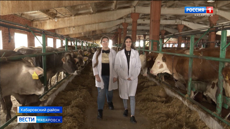 Из-за кадрового дефицита на фермах Хабаровского края прошла выездная ярмарка вакансий для студентов