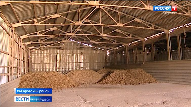 В Хабаровском крае аграрии, которые займутся выращиванием картофеля, получат финансовую поддержку