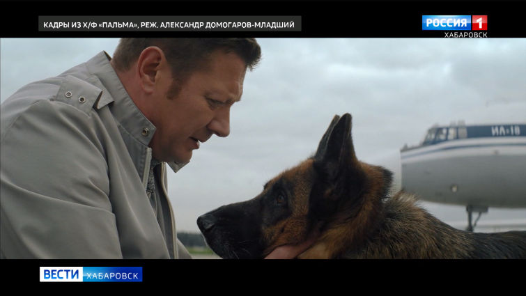 Отечественный фильм «Пальма» режиссёра А. Домогарова младшего бьёт рекорды по просмотрам