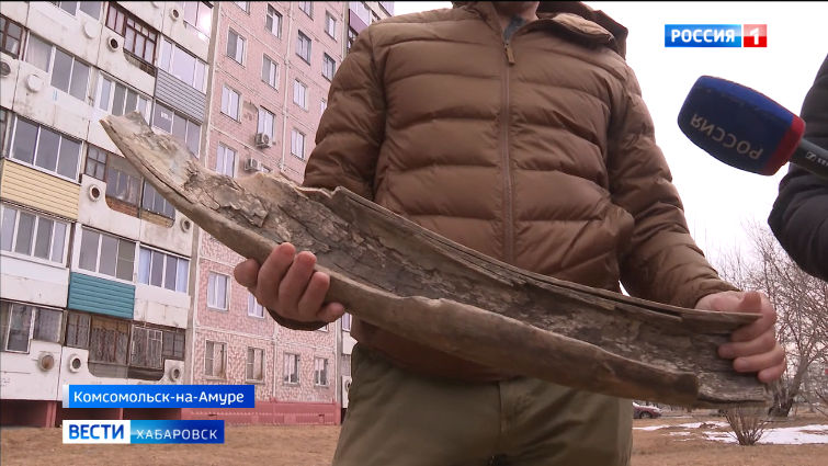 Фрагмент бивня мамонта обнаружили в Комсомольске-на-Амуре