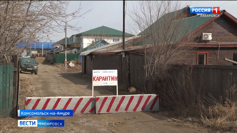 В Комсомольске, где введен режим ЧС из-за вспышки африканской чумы свиней, выявлен новый очаг заболевания