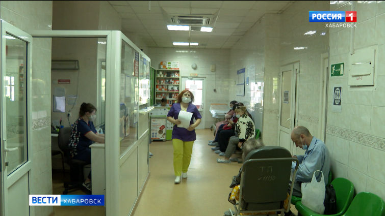 5 случаев укусов энцефалитных клещей выявлено в Хабаровске и пригороде