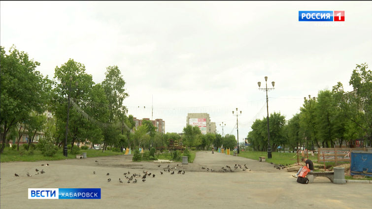Победителей голосования за объекты благоустройства назвали в Хабаровском крае