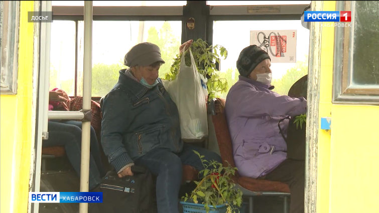 В Хабаровском крае льготники теперь могут оплачивать поездки на дачи картой «МИР»