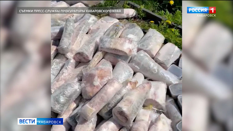 Уголовное дело по факту незаконной добычи краснокнижного осетра возбуждено в Ульчском районе