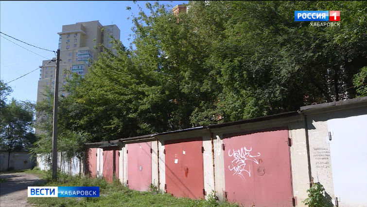 На Госуслугах можно будет оспорить штрафы за нарушение ПДД онлайн