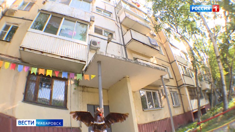 Камеры видеонаблюдения появились в одном из дворов Берёзовки в Хабаровске