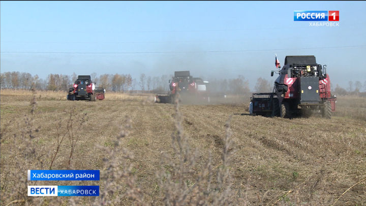 В Хабаровском крае стартовала уборка сои