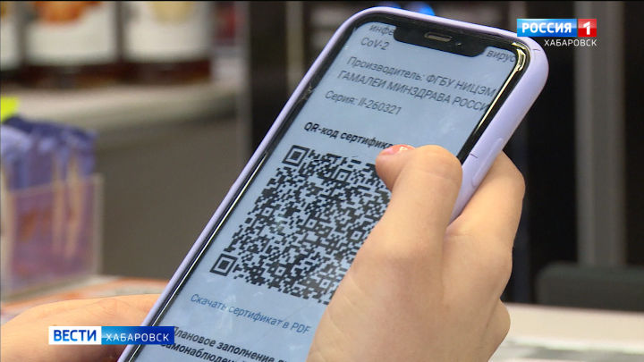 Способы внедрения QR-кодов в Хабаровском крае ищут владельцы фитнес-центров, культурных объектов и ресторанов