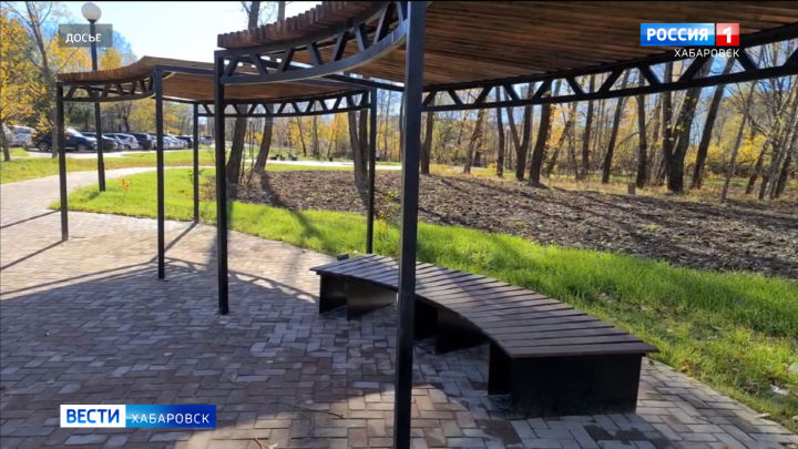 В Хабаровске нашли подозреваемых в вандализме на территории сквера врачей