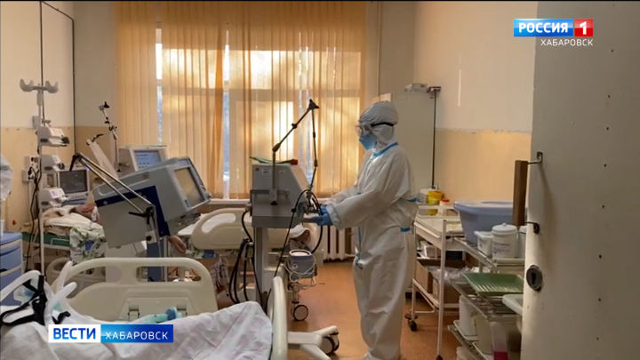 Хабаровский край — на третьем месте в России по темпам прироста числа заразившихся коронавирусом