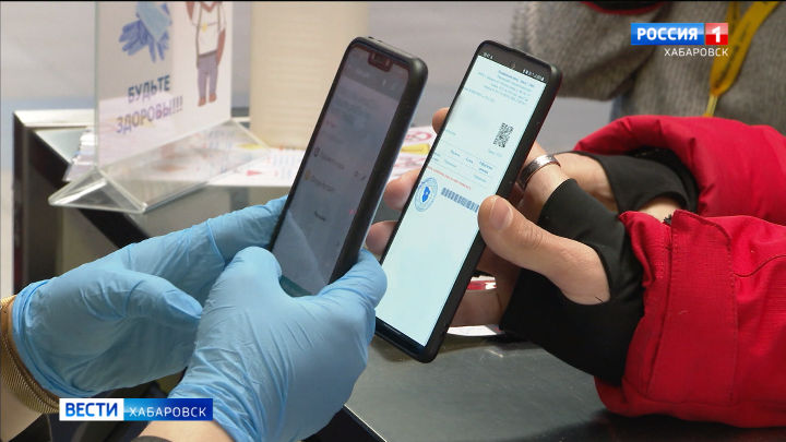 При посещении детсадов и школ в Хабаровском крае стали обязательны QR-коды