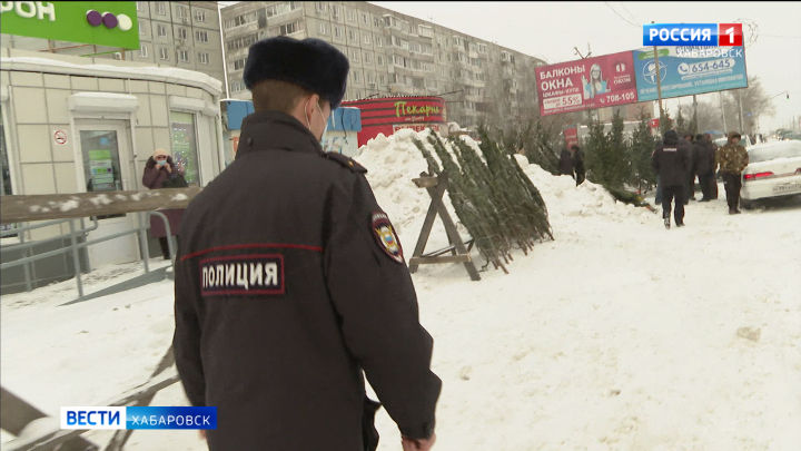 Операция «Елочка» стартовала в Хабаровском крае