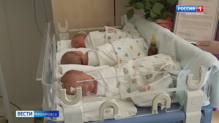 Эра, Даная, Данте и Григ родились в 2021 году в Хабаровском крае
