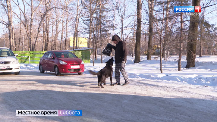 Что делать при встрече с бродячими собаками? Где отдохнуть по программе «Туристический кешбэк»?