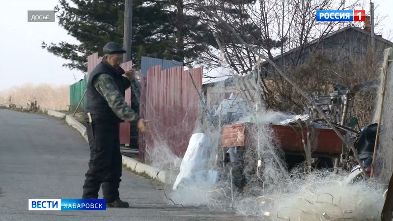 6,5 тысяч заявок на включение в список коренных малочисленных народов подали в Хабаровском крае