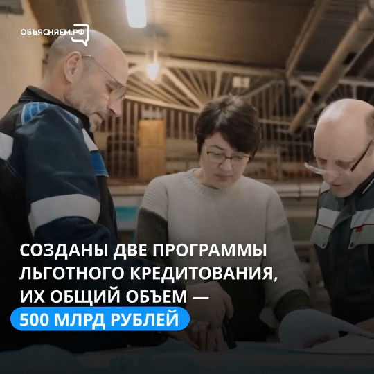 Правительство РФ заявило о поддержке предпринимателей